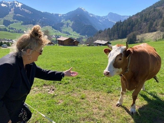 Marie Henchoz allunga la mano oltre il recinto verso una mucca Simmental.