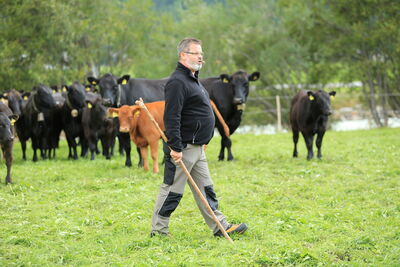 Presentazione degli animali in Engadina nel 2017 | Foto: Engadin River Ranch