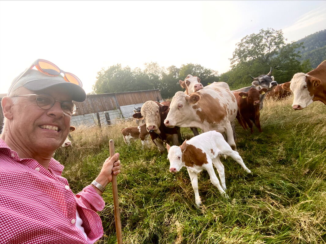 Oliver Boillat si scatta un selfie davanti alle vacche nutrici e ai vitelli di suo figlio.