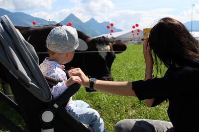 Grandi e piccini all'Iheimisch di Buochs | Foto: Franziska Schawalder