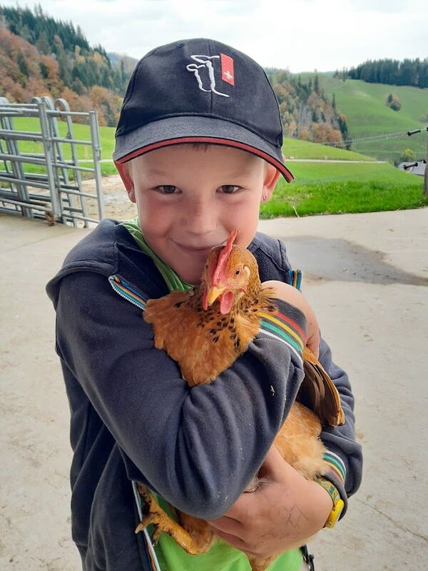 Il figlio di Daniel con un pollo in braccio.