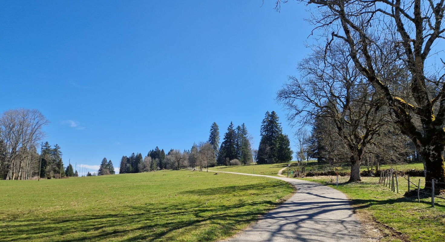 I sentieri escursionistici attraversano la tipica campagna di Freiberg, con alcuni percorsi che attraversano i pascoli.