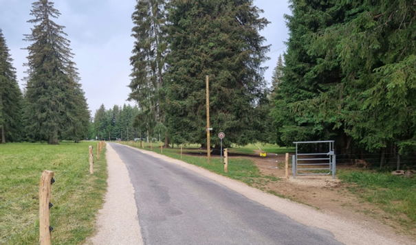 Vista della strada tra il campeggio Saignelégier e Sous le Bémont. Su entrambi i lati della strada è presente una recinzione per proteggere i turisti.