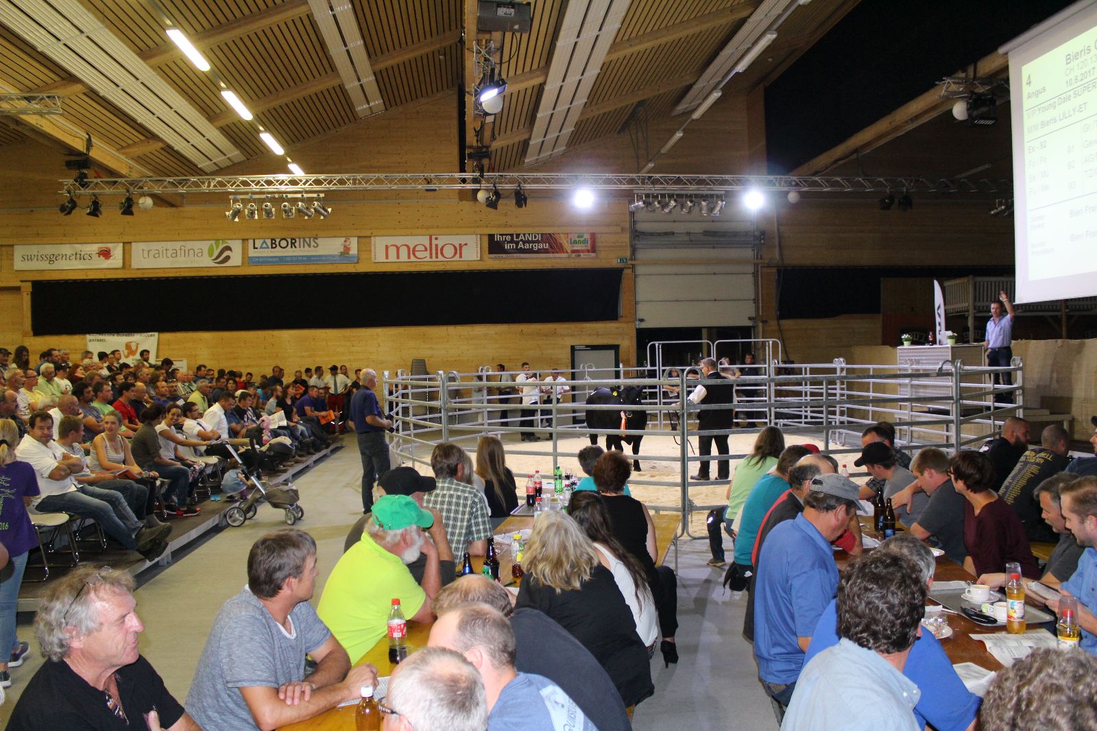 Il pubblico della Vianco Arena intorno all'anello di presentazione, dove viene presentato un toro Angus.