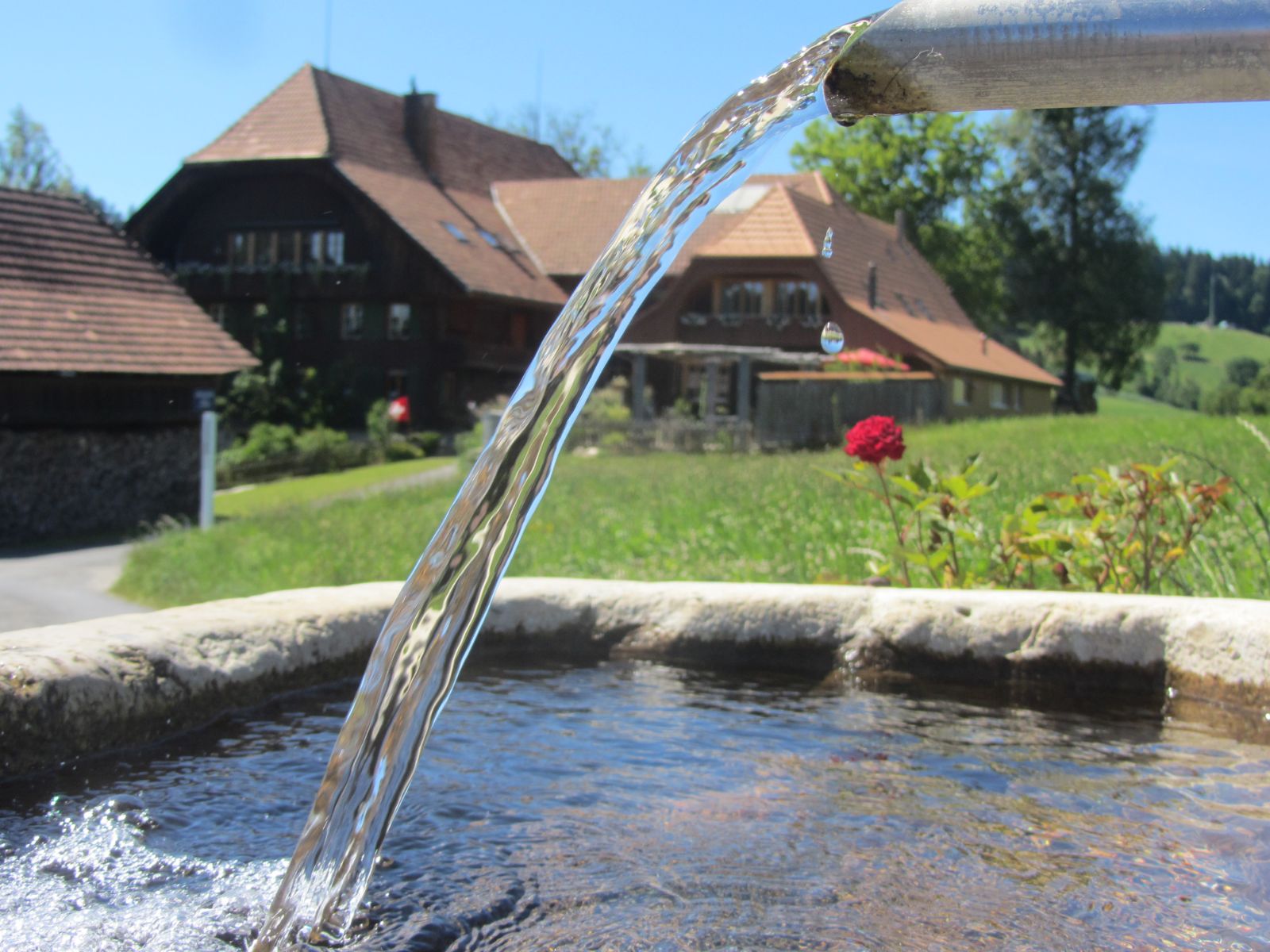L’acqua – un elisir di vita e anche il nostro bene più prezioso.