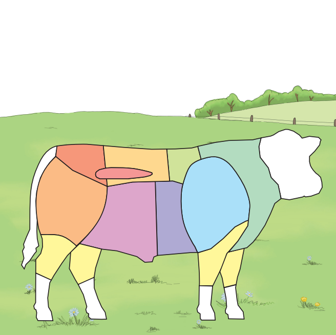 Una carne di manzo in cui i diversi pezzi di carne hanno colori diversi. Non sono etichettati.