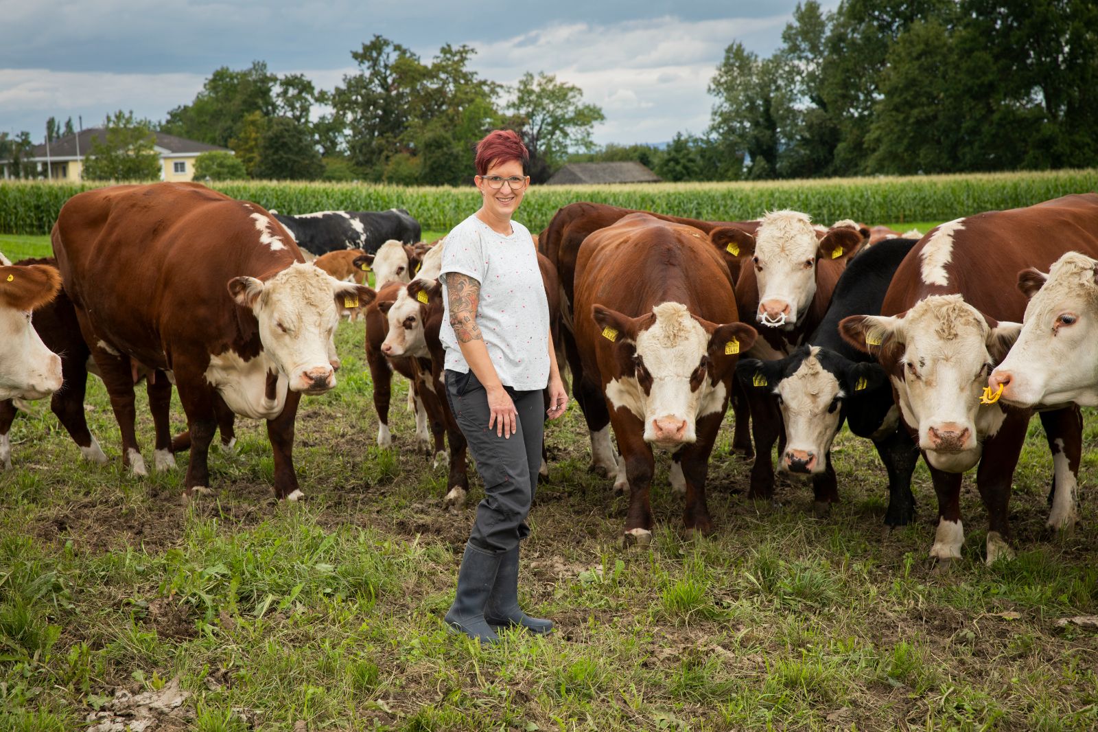 Il pubblico della WEGA potrà ammirare anche una delle Hereford di Conny e Roland con la sua vitellina (foto: Ueli Christoffel / SRF)