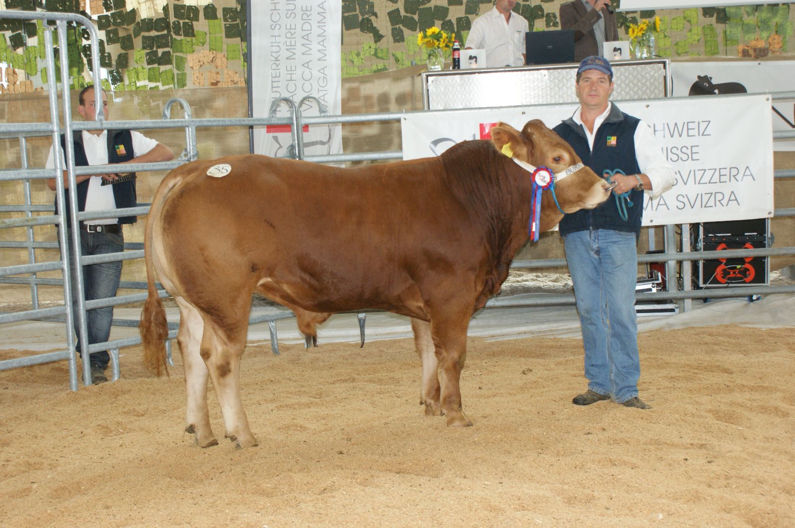 I tori di razza Limousine hanno già riservato alla famiglia Burri molti riconoscimenti. I Burri vanno molto fieri di Palermo, incoronato campione in occasione del mercato organizzato nel settembre 2014. (Foto: Vacca madre Svizzera)