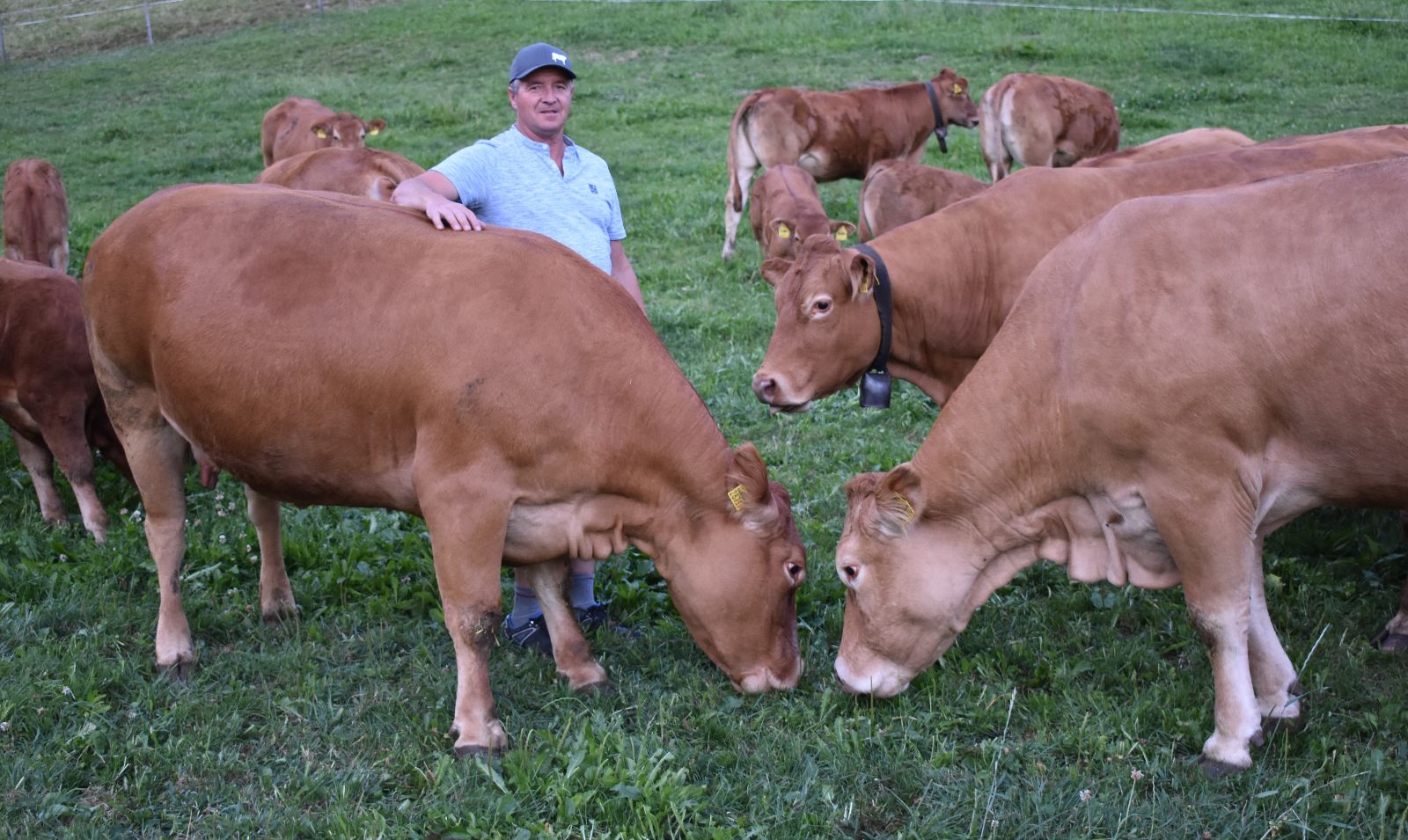 Franz Burri è orgoglioso dei suoi bellissimi animali da riproduzione.