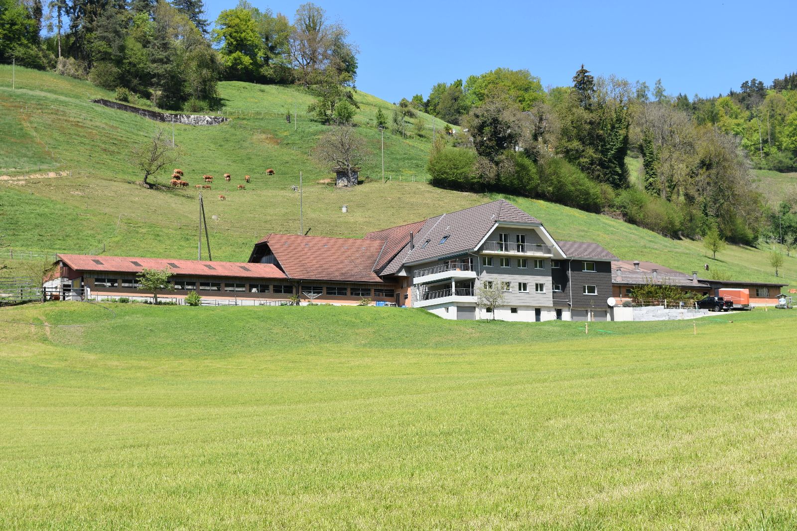 La aziena di Dagmersellen ha 31 ettari di terreno agricolo e 5 ettari di foresta.