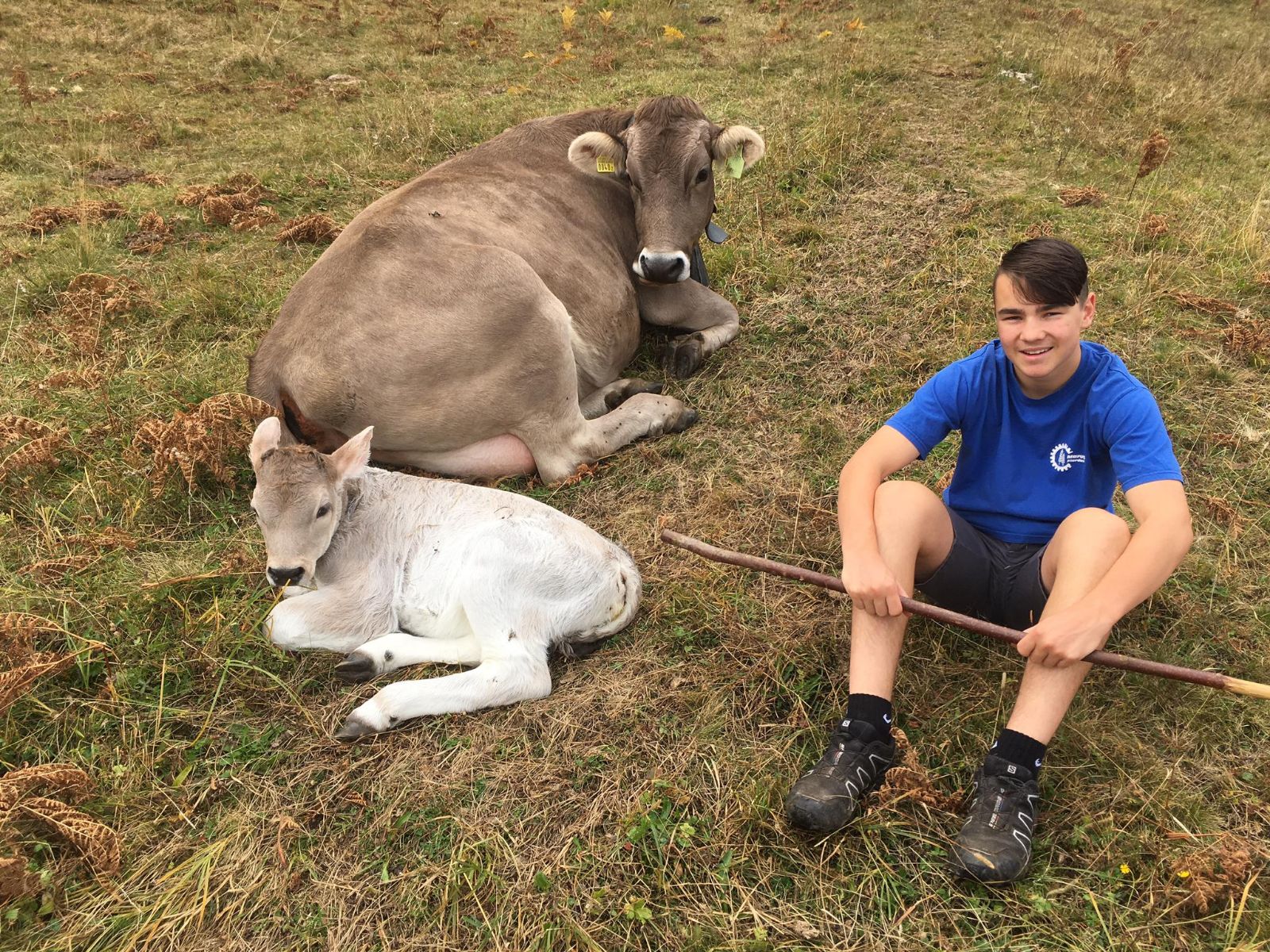A Damian Marugg piace molto starsene all’alpe in compagnia delle vacche madri.