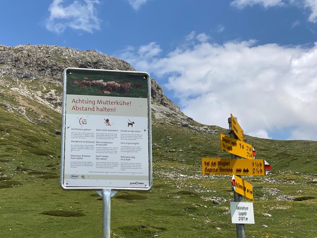 I cartelli sistemati nei luoghi giusti richiamano l’attenzione dei passanti e spiegano come comportarsi nelle vicinanze di mandrie di vacche madri che pascolano assieme ai loro vitelli.