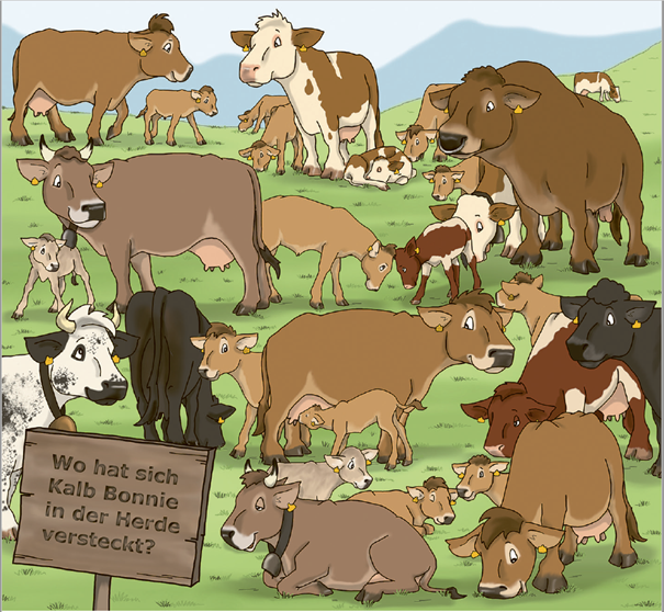 Il retro del secondo volume di Lea e Ben mostra un prato alpino con tante mucche e vitelli di diversi colori e razze. In primo piano c'è un cartello di legno: Dove si è nascosta la vitellina Melissa?