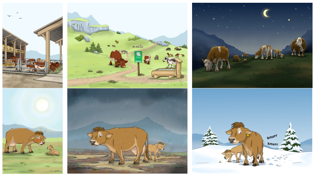 Immagini di vacche nutrici e vitelli nella stalla, in alpeggio, al pascolo di notte, sotto il sole, la pioggia e la neve.