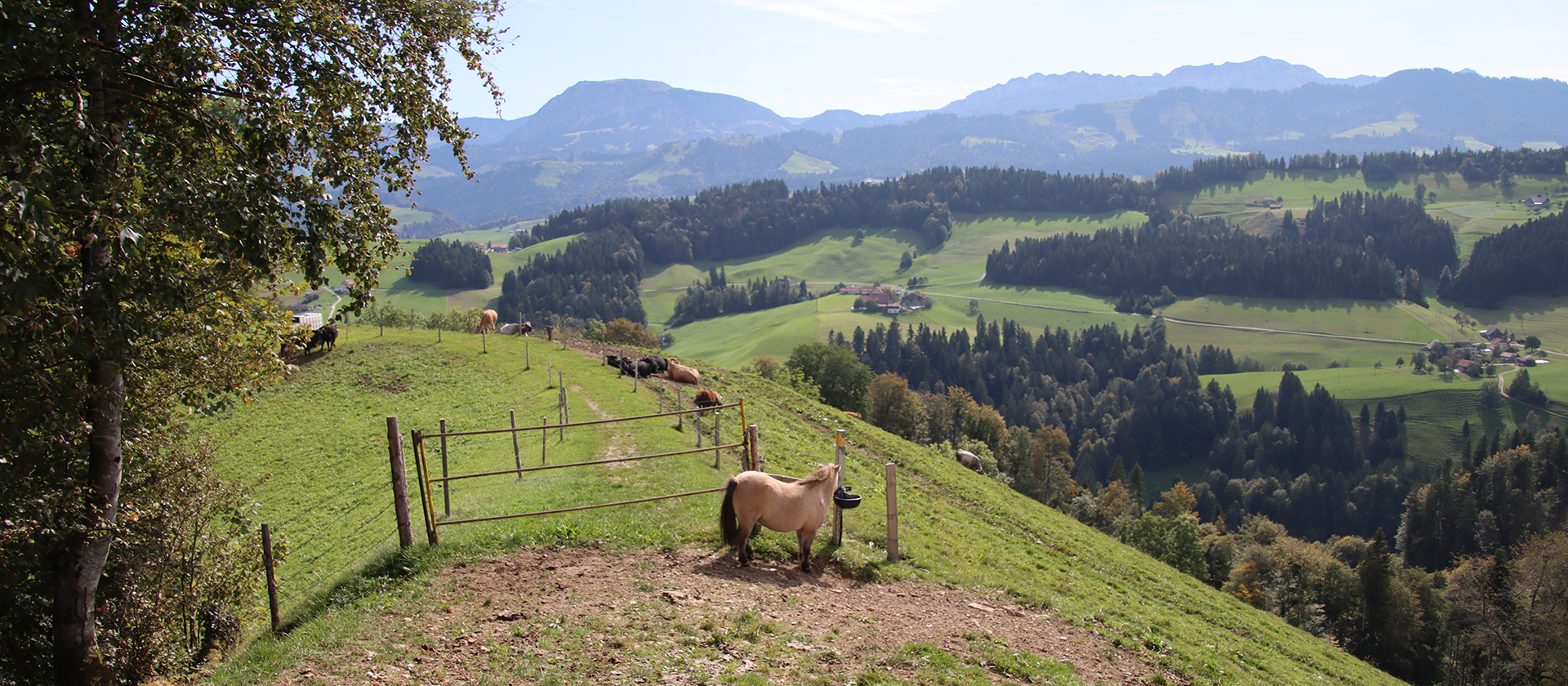 Erlebnisweg-Luthern-Bad