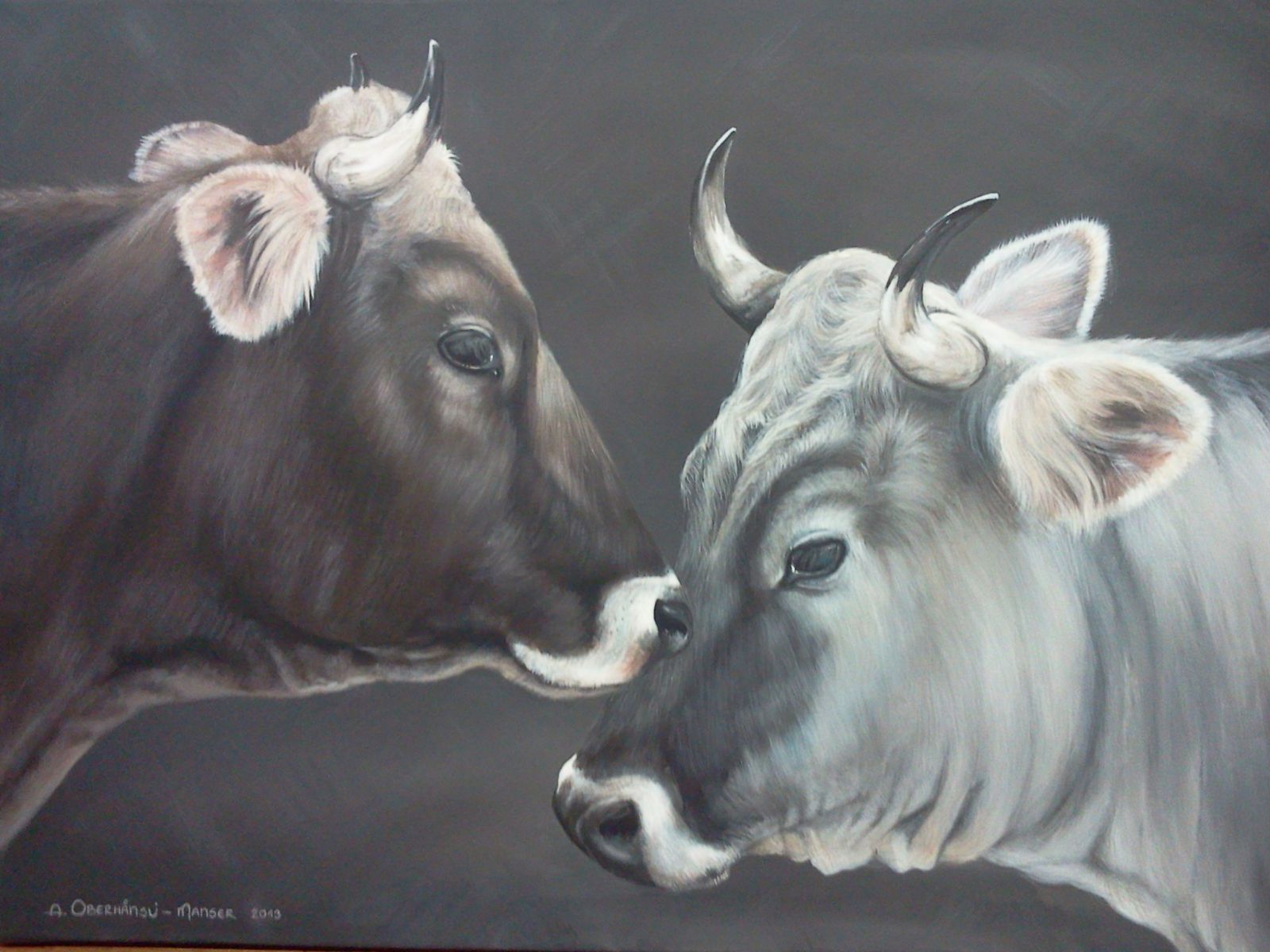 Pittura acrilica di una testa di vacca bruna cornuta (a sinistra) e di una testa di vacca grigia cornuta.